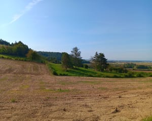 Vannaire et escapade exquise entre forêts et vignes - Vannaire - 4