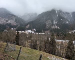 Loop naar Fond de France en de Pissou-waterval - Le Haut-Bréda - 25