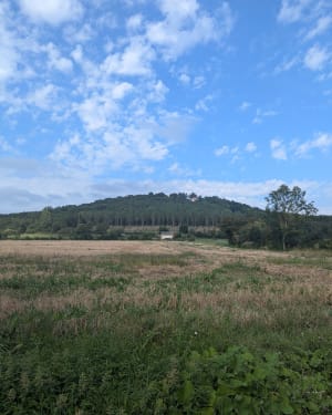 Vite, prendre le temps de se faire plaisir à Crèvecœur-en-Auge ! - Morgane - 16