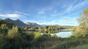 Ontsnap naar het meer van Lourdes en zijn prachtige groene omgeving - Lourdes - 7
