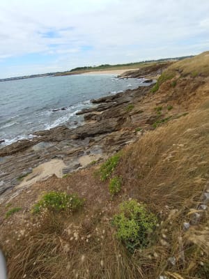 Randonnée au départ du lieu-dit "Les Bisquines" - Guidel plages - 6