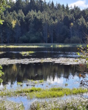 Lac de Charpal en boucle paisible - Monts-de-Randon - 10
