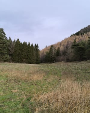 Tour du Puy de la Vache - Aydat - 43