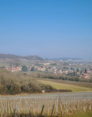 Balade autour de Mellecey - Mellecey - 10