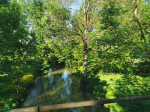 Petite boucle du Marais sauvage à vélo - Arçais - 4