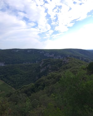 Voyage dans les grottes et gouffres de Vallon-Pont-d'Arc - Vallon-Pont-d'Arc - 9