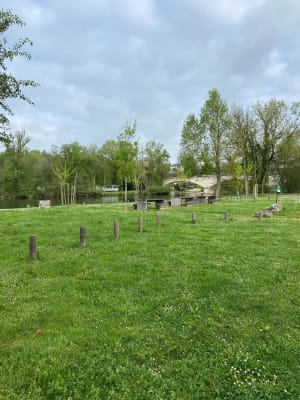 Mosnac et Malvy le long de la Charente - Mosnac-Saint-Simeux - 14