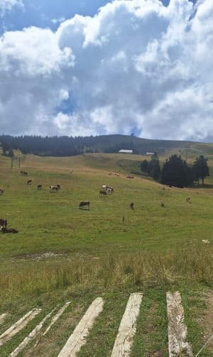 Randonnée du Golet Rond et plateau du Semnoz - Gruffy - 2