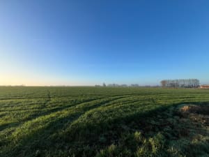 Campagne de Linselles - Linselles - 3