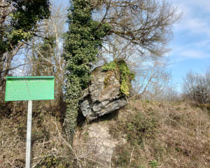 Ballade Pierre Levanaz et Château de Montvéran - Culoz - 14