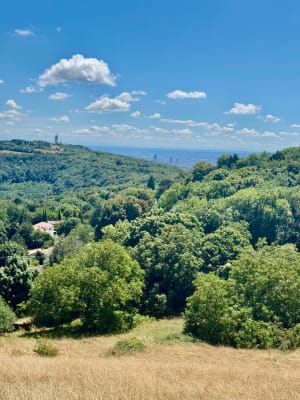 Mont Thou en zijn cabornes, overblijfselen uit het verleden - Saint-Cyr-au-Mont-d'Or - 20