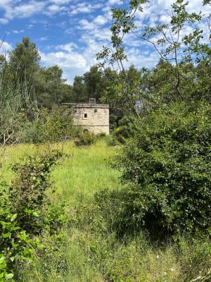 Vallon de Lèque - Saint-Rémy-de-Provence - 7