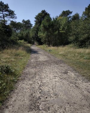 D'Equihen à Hardelot. Entre forêt, dunes et plage. - Neufchâtel-Hardelot - 13