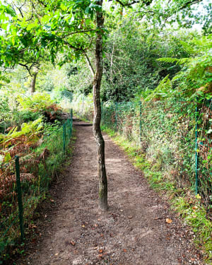 Sentier côtier en passant par un chemin creux à Fouesnant - Fouesnant - 15
