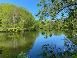 Balade à Châteauroux et au parc Daniel Bernardet - elo - 5
