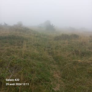 Campan et sa balade pastorale dans la vallée de la Gripp - Campan - 4