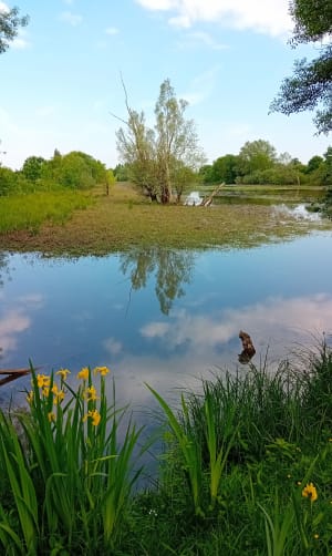 Balade sympa à Epervans le long de la Saône et de la Darse - Épervans - 6