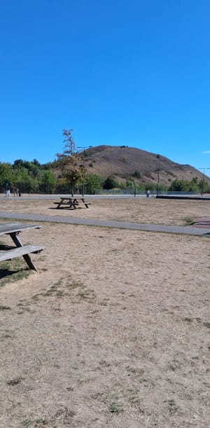 Parc des îles - Hénin-Beaumont - 4