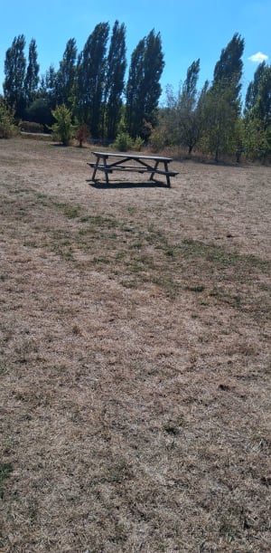 Parc des îles - Hénin-Beaumont - 5