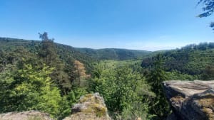 Boucle entre grotte d’Amour, château hunebourg et rocher du Loosthal - Neuwiller-lès-Saverne - 14
