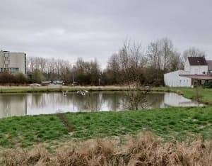 Balade à St Amand-Les-Eaux - Saint-Amand-les-Eaux - 160