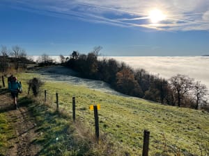 Dans les Monts du Lyonnais, par Grand Mont, depuis Riverie - Riverie - 29
