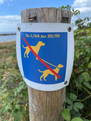 Parcours à Locmariaquer en bord de mer et rochers - Eva - 14