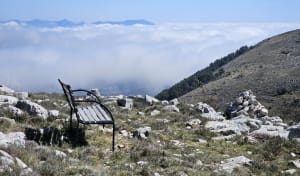 Boucle depuis Tourrettes-sur-Loup et panorama grandiose - Tourrettes-sur-Loup - 7
