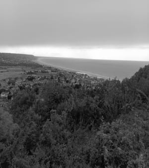 Blonville-sur-Mer par le Mont-Canisy et avalanche d'oiseaux - Blonville-sur-Mer - 5