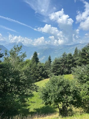 Vue sur Saint Jean de Maurienne, par Montandré - La Tour-en-Maurienne - 7