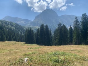 Taillefer-meren en ansichtkaartlandschappen - Livet-et-Gavet - 9