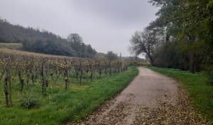 Petite balade par Wedenroth et le long de la Lauch - Herrlisheim-prés-Colmar - 2