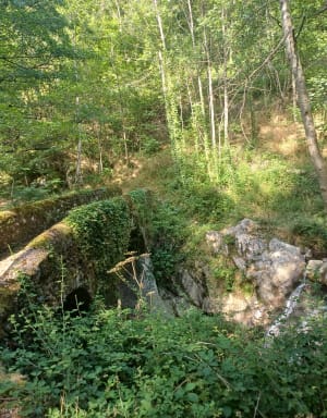 Promenade enchantée au départ de Prunet - Prunet - 6