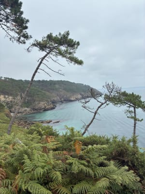 Rando le Tour du cap de la chèvre à Crozon - Crozon - 15