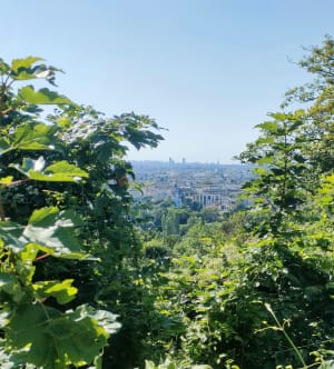 Bois de Vincennes et Boucle de la Marne, côte d'Ormesson - Fontenay-sous-Bois - 3
