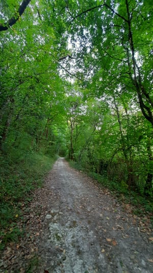 Saint-Thomas, par Saint-Just et Piquepoul - Guillaume - 3