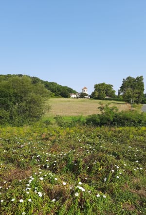 Saint-Thomas, par Saint-Just et Piquepoul - Guillaume - 4