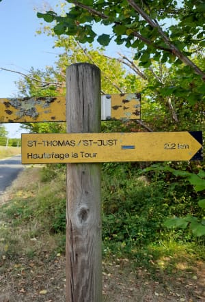 Saint-Thomas, par Saint-Just et Piquepoul - Guillaume - 8