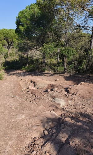 Petite reprise trail dans le canton de Palayson - Roquebrune-sur-Argens - 14