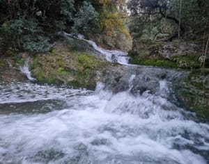 Monté dans le ravin des Encanaux par les sentiers d'Antan - Auriol - 15