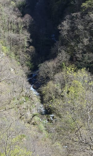 Onderdompeling in het hart van de Carança-kloven - Thuès-Entre-Valls - 58