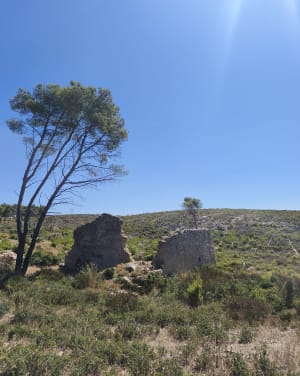 Plateau de l'Estaque - Martigues - 9