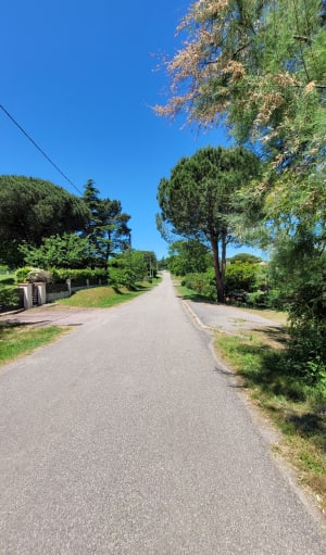 Balade dans la campagne et les bois depuis Pechbusque - Pechbusque - 10