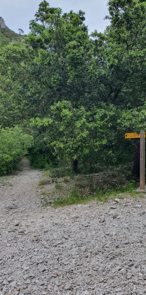 Charme des Taillades et mystères de l'ouest du Luberon - Les Taillades - 5