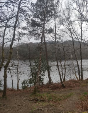 Lac de Saint-Pardoux - Razès - 12