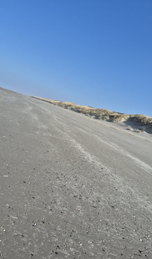 Boucle depuis Quend vers le sentier des Crocs - Quend - 15
