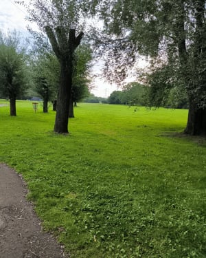 Tour du lac d'Annay - Annay - 4