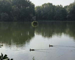 Tour du lac d'Annay - Annay - 8