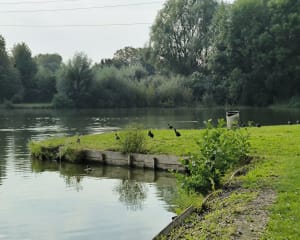 Tour du lac d'Annay - Annay - 9