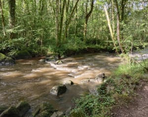 La Roche d'Oëtre par le sentier des gorges - Saint-Philbert-sur-Orne - 9